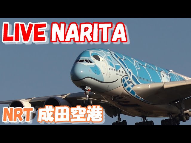 🔴LIVE at NARITA International Airport Plane Spotting　2024.05.25　成田空港ライブカメラ 成田空港　NRT/RJAA