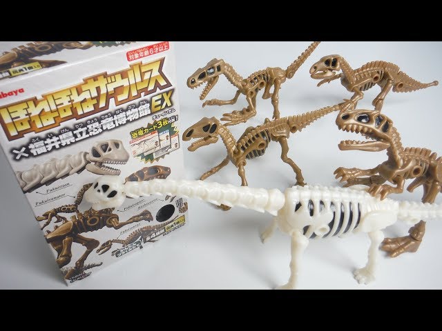 Honehone saurus Fukui Prefectural Dinosaur Museum EX "unboxing" Dinosaur Figure Japanese candy toys