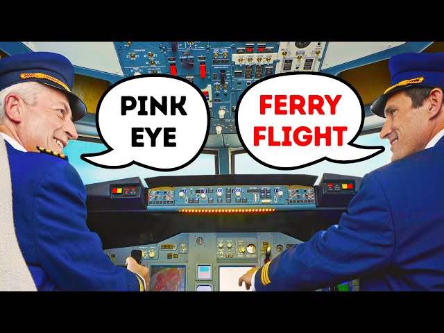 27 Pilots' Phrases Passengers Know Nothing About