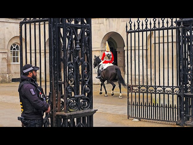 I QUIT! Even POLICE ARE SHOCKED at fastest EVER horsey meltdown and replacement at Horse Guards!