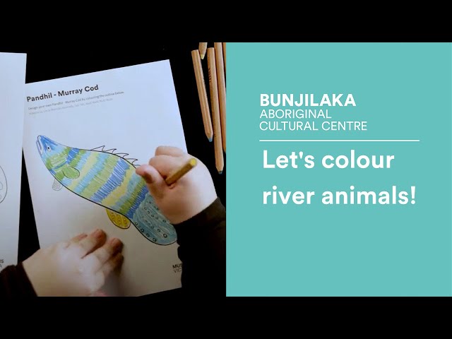 Let's colour river animals!