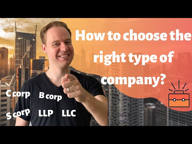 What type of company is right for you and why? (All the different types of companies explained)