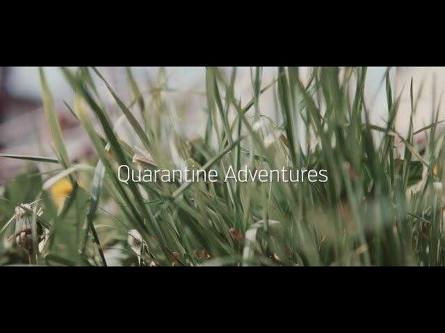 Quarantine Adventures | Cinematic short film - Sony a6500 & Sigma 30mm