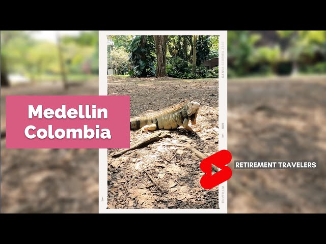 MEDELLIN COLOMBIA Botanical Garden IGUANA! | Retirement Travelers #Shorts