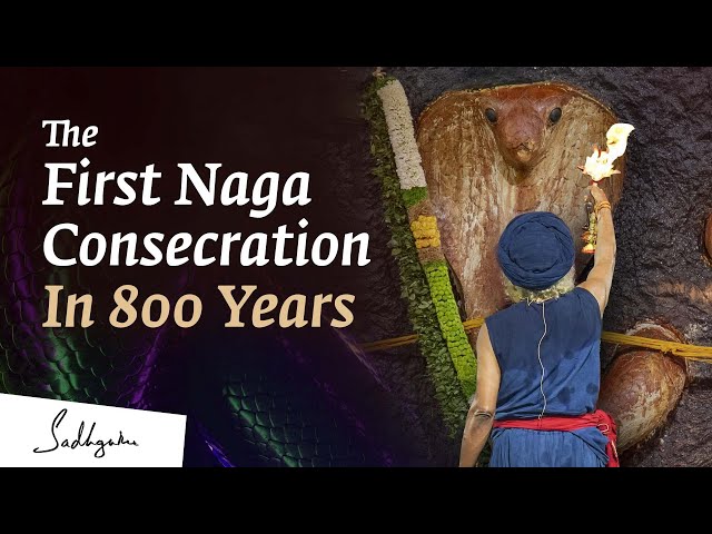 Glimpses of a Rare Mystical Event - Naga Consecration @Sadhguru Sannidhi, Bengaluru