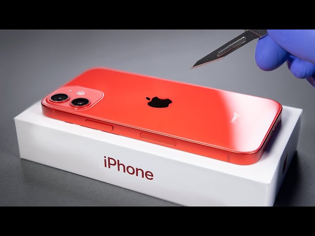 iPhone 12 Mini Unboxing and Camera Test! - ASMR