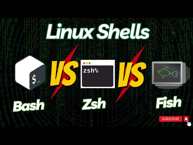 Linux Shells Comparison: Bash vs Zsh vs Fish | Which One is Best for You?