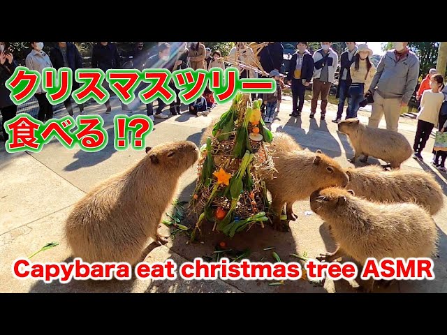 Capybara Vegetable Christmas Tree