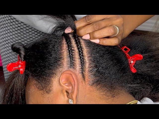 How to Small Braided Updo!