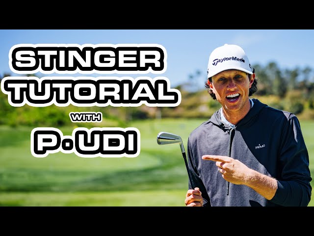 Grant Horvat Teaches How To Hit A Stinger With P·UDI | TaylorMade Golf