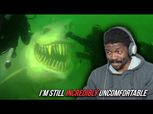 The Deep Sea is still Horrifying | Reacting to more Casual Geograpics