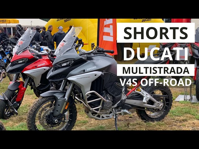 Shorts: Ducati Multistrada V4S Off-Road