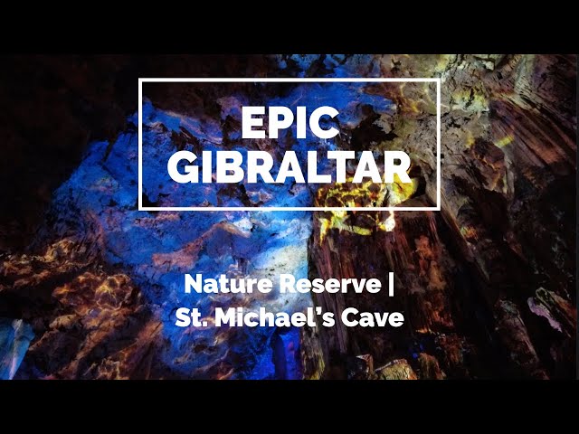 Epic Gibraltar | Nature Reserve & St Michaels Cave Walking Tour!