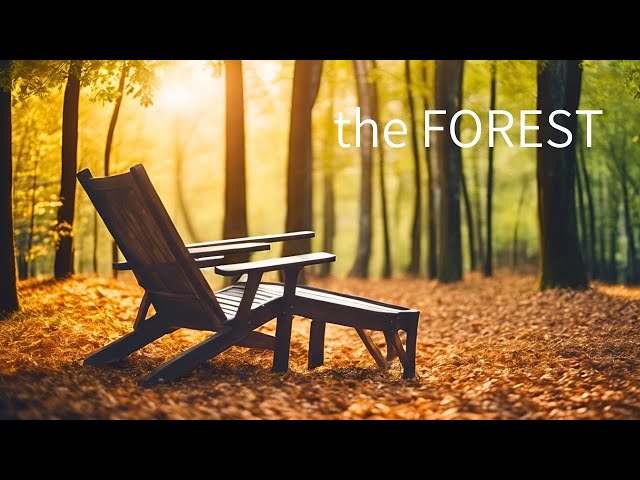 the FOREST - FUTURE GARAGE Mix - for Relax, Work, Study