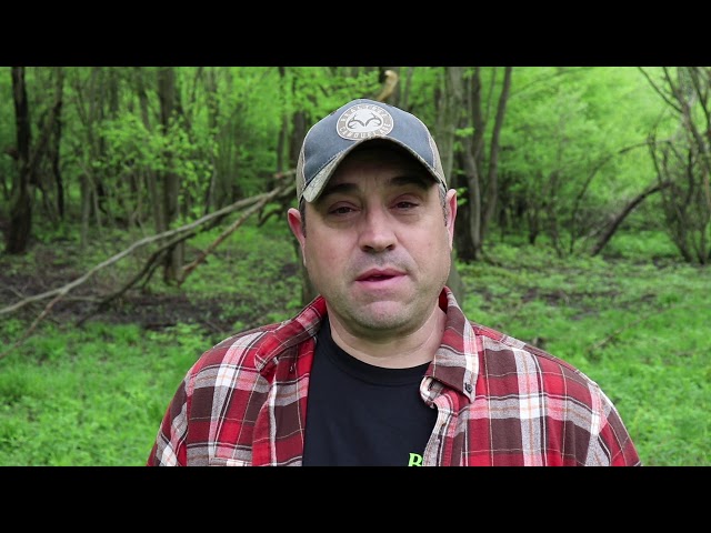 You're Not A Real Homesteader! And A Bear Video......