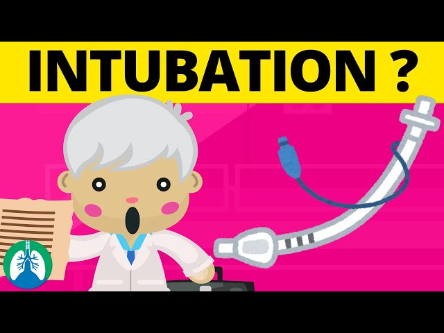 Right Mainstem Intubation (TMC Practice Question) | Respiratory Therapy Zone