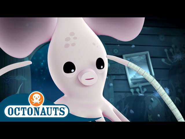 Octonauts - Long Armed Squid & The Fiddler Crabs | Cartoons for Kids | Underwater Sea Education
