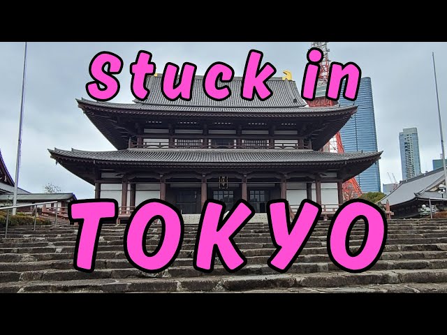 Stuck in Tokyo Japan on a 13 hour layover!