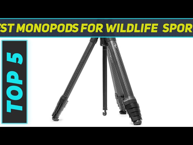 Top 5 Monopods For Wildlife, Sports in 2024