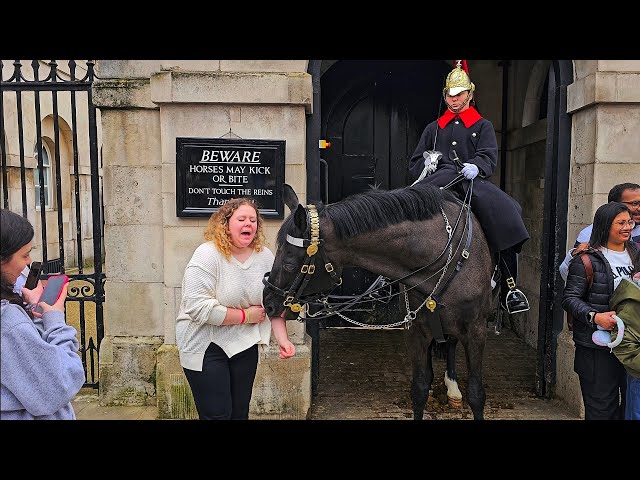 CANADIAN TOURIST GETS BADLY BITTEN - and shows everyone what can happen at Horse Guards!