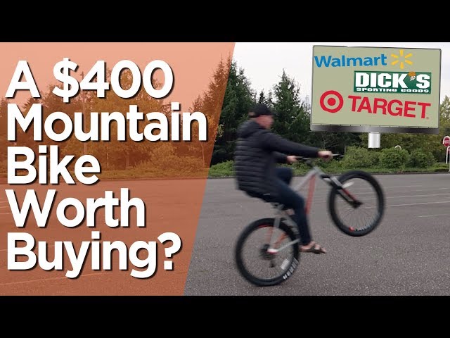 You Should Buy This Mountain Bike! ($400)
