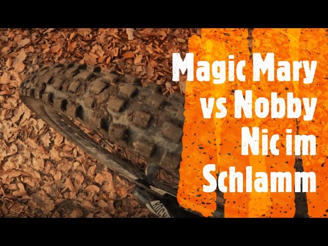 Reifentest Schwalbe Magic Mary vs neuem Nobby Nic im Schlamm MTB