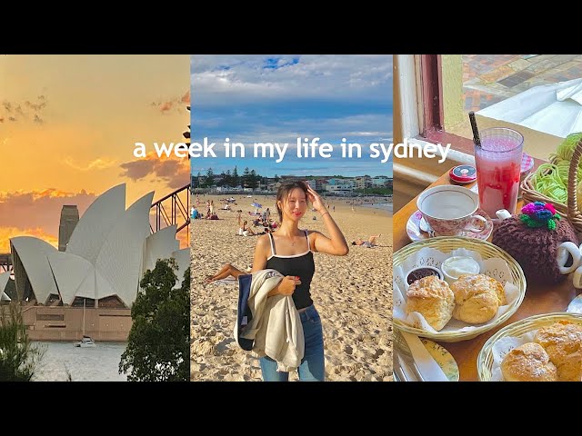 시드니 일주일 vlog 오페라 하우스 보고 뚜벅이로 여행하는 일상