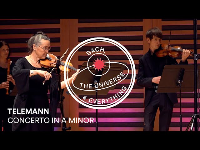 Telemann Concerto in A minor, TWV 44:42 - Allegro | Bach, the Universe & Everything