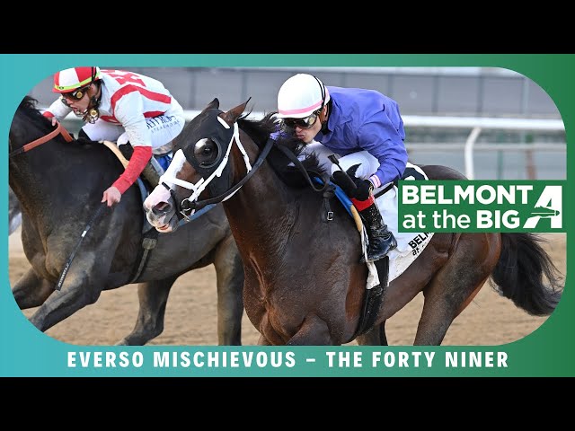 Everso Mischievous - 2023 - The Forty Niner