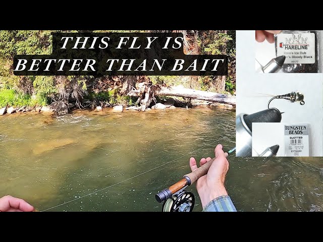 50 trout in 70 mins - Is this FLY better than BAIT?   Rig/technique explained!