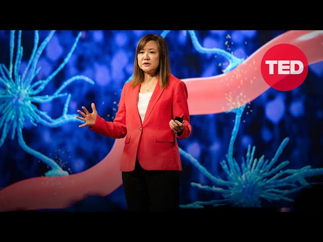 Could We Treat Alzheimer's with Light and Sound? | Li-Huei Tsai | TED