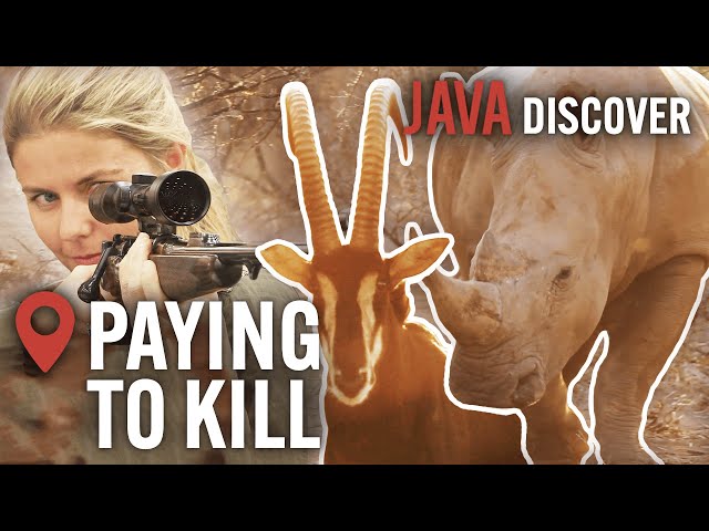 Killer Holidays in South Africa: Where Royals Go To Hunt | Safari Tourism Documentary