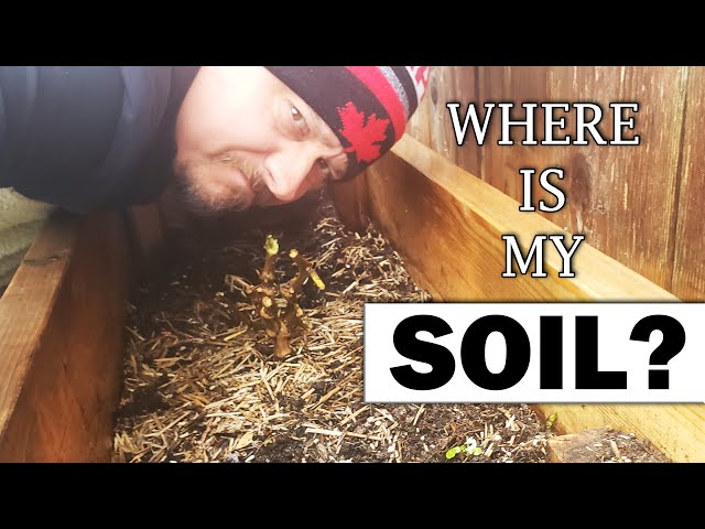 Where Did My Soil Go? - Garden Quickie Episode 30