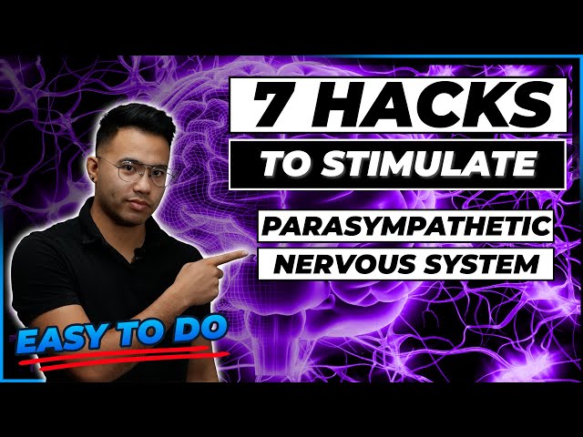 7 Easy Ways to Stimulate Your Parasympathetic Nervous System IN 2024 | CHRONIC FATIGUE SYNDROME