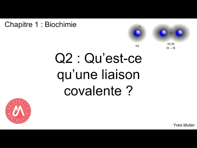 Chapitre 1 : Biochimie - Q2 : Qu'est-ce qu'une liaison covalente ?
