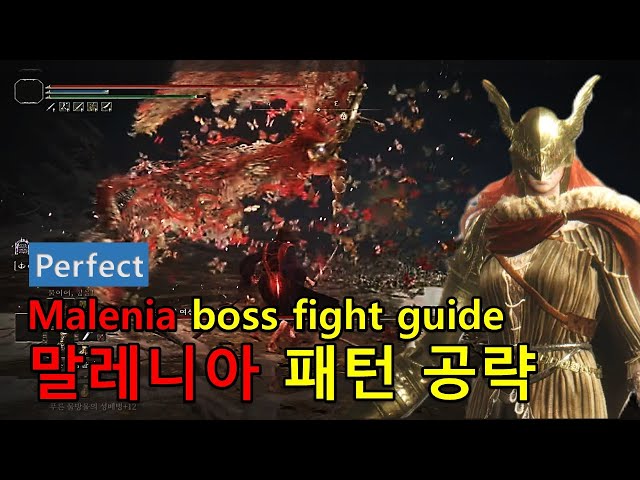 [Elden Ring] Malenia boss fight "PERFECT" guide (ALL of boss pattern and attack timing)