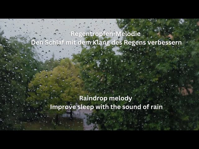 1h Regentropfen-Melodie Den Schlaf mit dem Klang des Regens verbessern Körper Geist Seele Relax