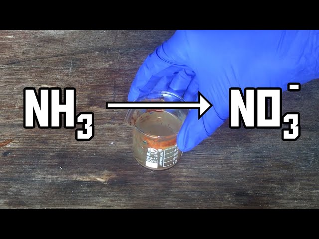 Making Nitrate With Electricity