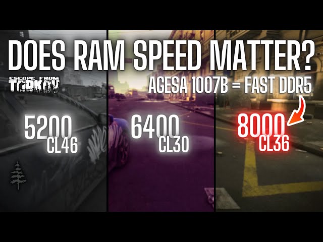 Does RAM Speed Matter for 7800X3D After AGESA 1007b? \\ 5200 CL46 vs 6400 CL30 vs 8000 CL36