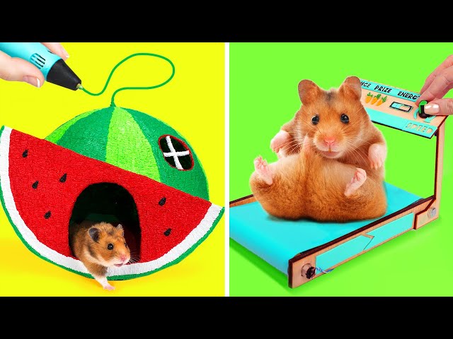 Crazy And Fun DIY Hamster Crafts || Make Your Hamster Squeal With Joy With These Superb Crafts