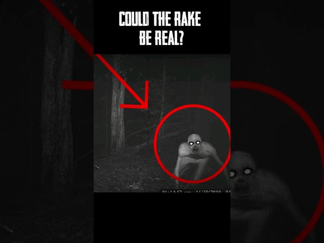 Is The Rake Real? #scary