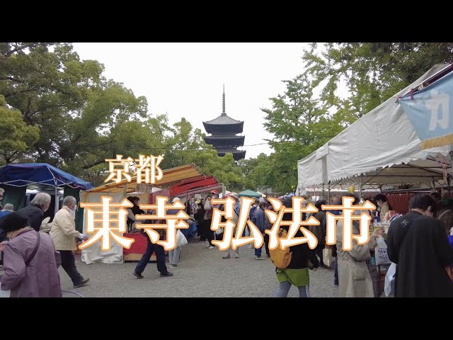 京都 賑わう東寺弘法市を散策【行楽の京都を巡る】Touring Kyoto
