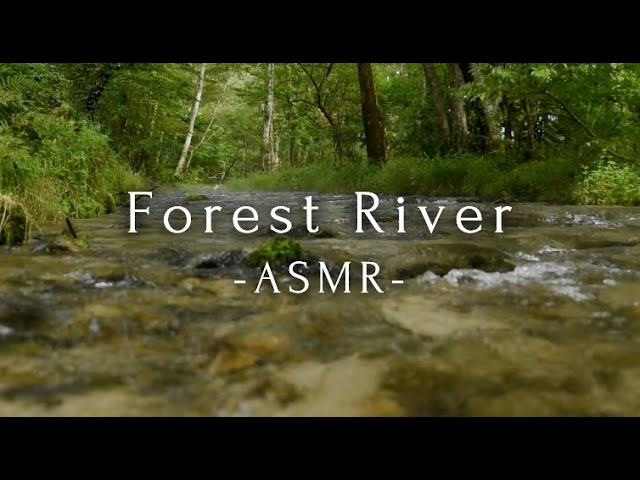 - Ambient River Sounds Peaceful Forest - Nature Sounds, ASMR, Focus, Meditation, Sleep, Relaxation
