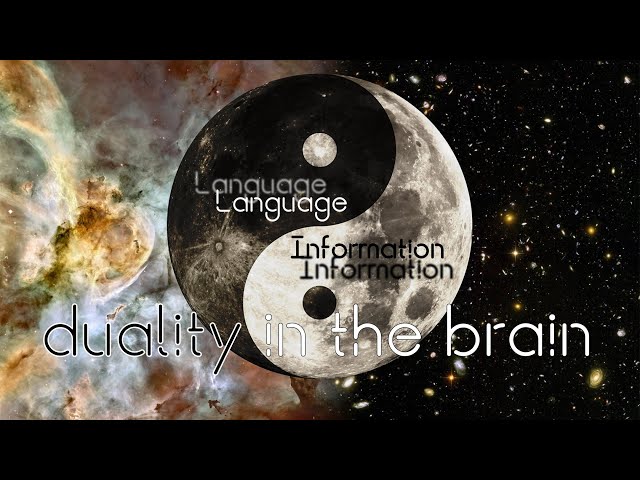 Information and Language in the Brain (part 1/7)