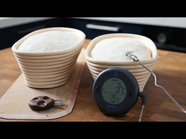 Stop Over Proofing Your Sourdough, Use This Experiment to Find Your Optimum Proof