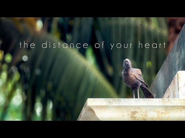 The Distance of Your Heart