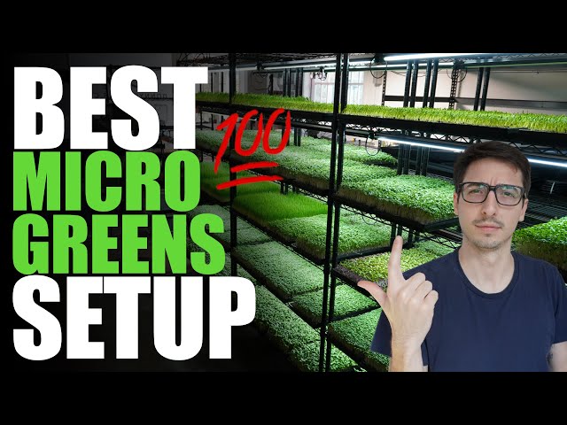 Best Basic Microgreen Rack System/Setup