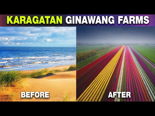 Paano Ginawang Farms Ang Karagatan Ng Netherlands Gamit Lamang Ang Lumang Windmill?