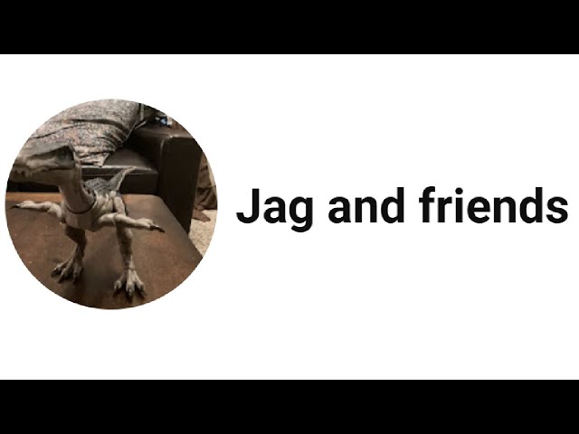 SUBSCRIBE ALERT: Jag And Friends