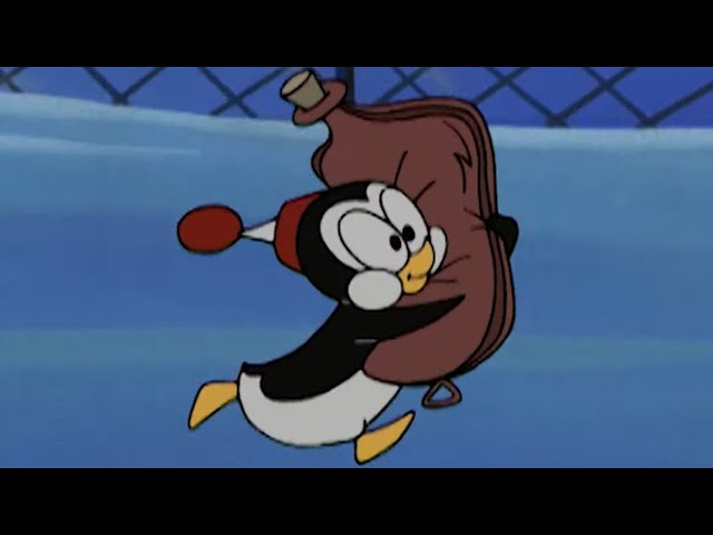 Temporada de Frío y Gripe | El Pájaro Loco | Dibujos animados para niños | WildBrain en Español